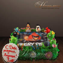 Торт Angry Birds № 002 Д